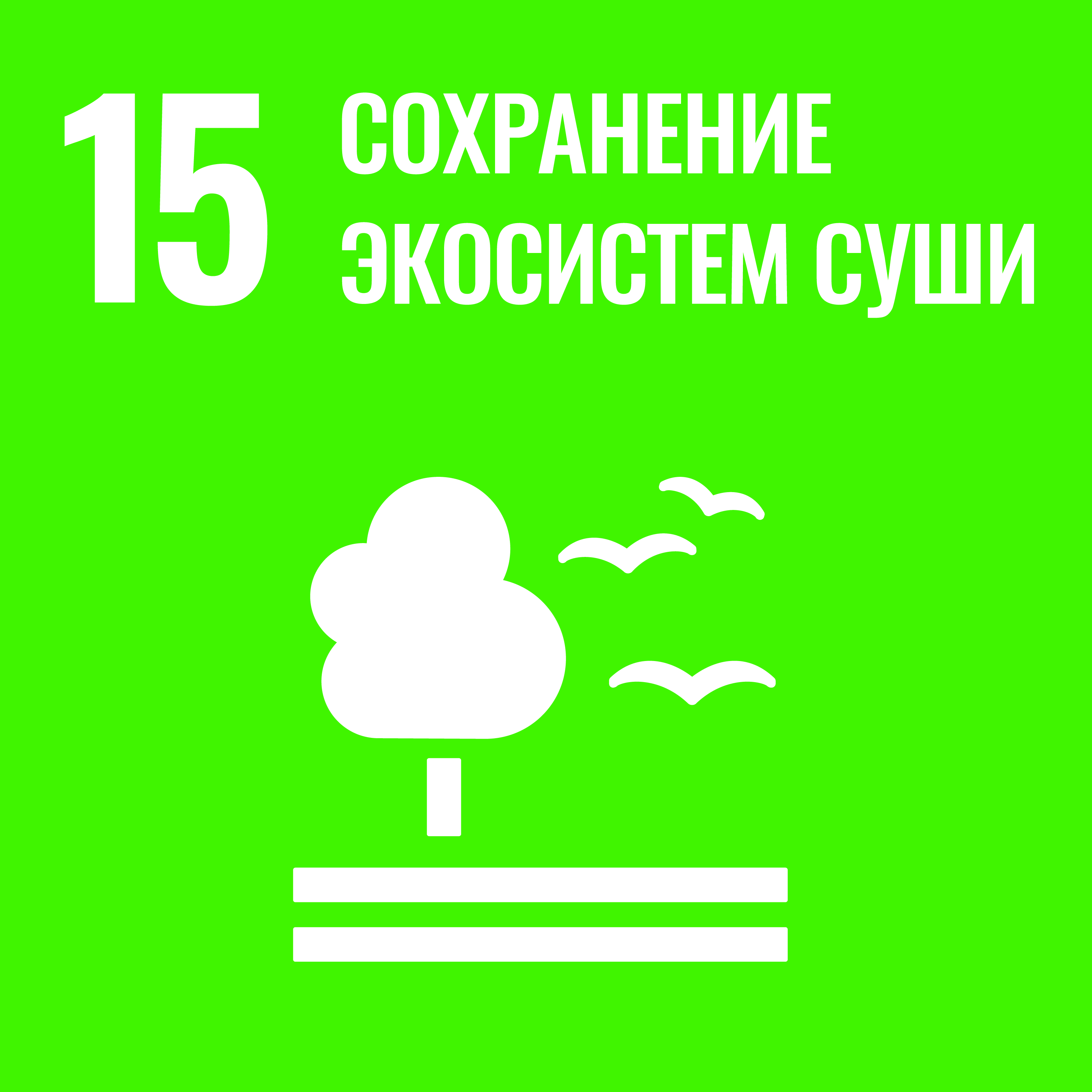 ЦУР 15: Сохранение экосистем суши