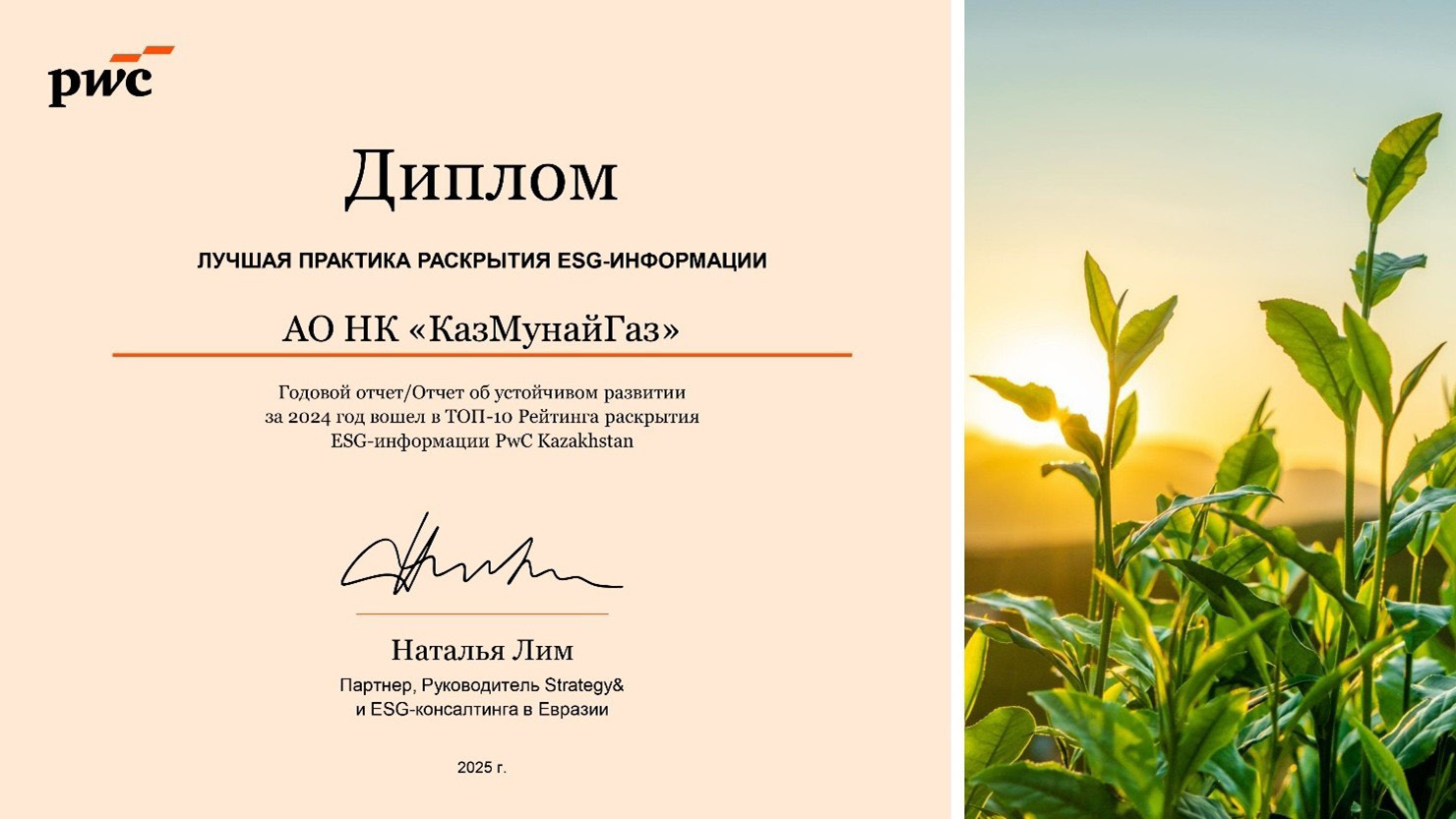 PwC Kazakhstan қаржылық емес ақпаратты ашу бойынша дипломы